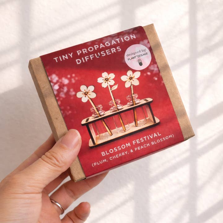 Dainty Little Tiny Things - Wholesale Reed Diffuser - Diffuser: Blossom Festival3