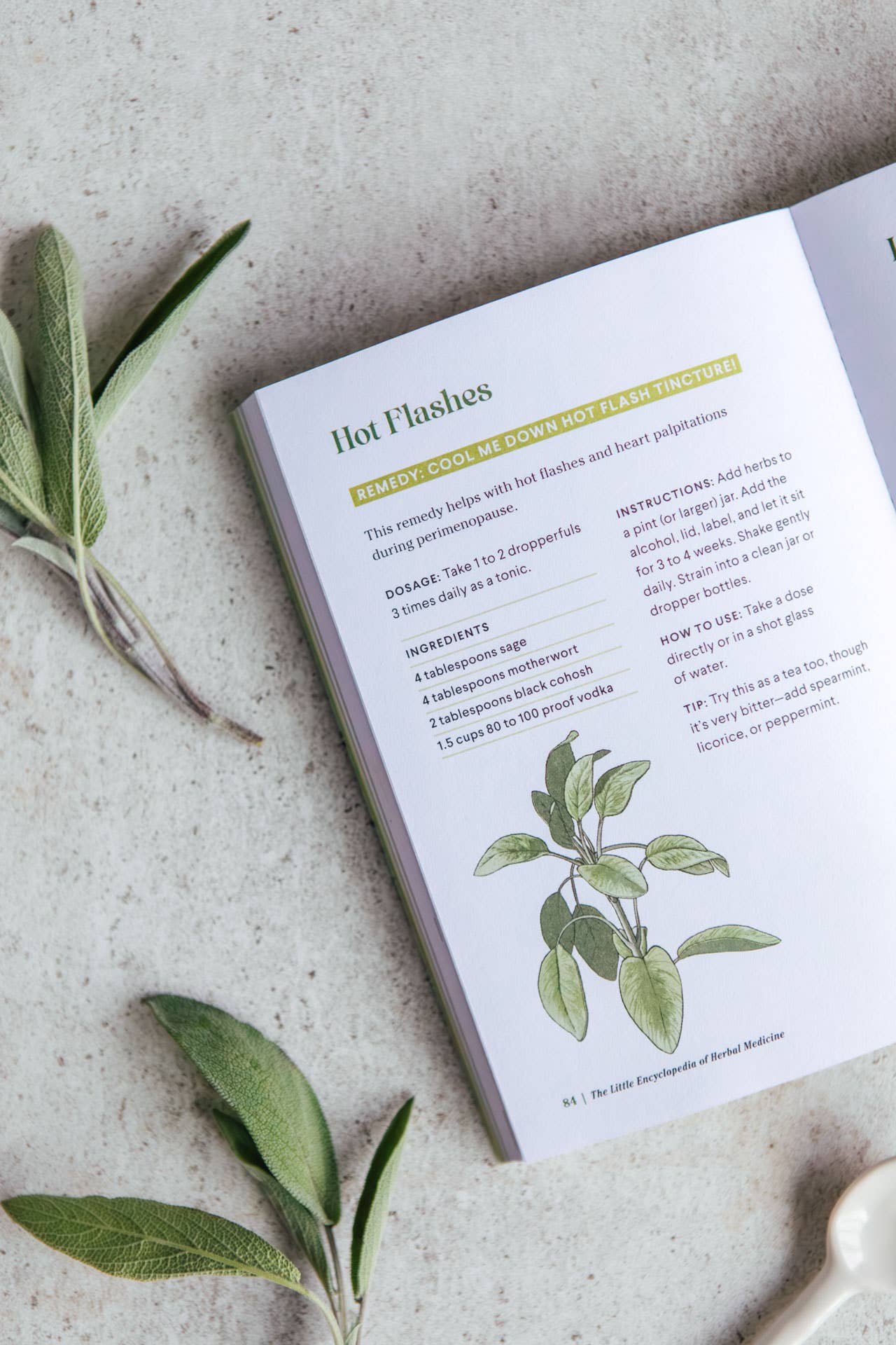 Blue Star Press - Wholesale Medical Health Book - The Little Encyclopedia of Herbal Medicine: Herbal Remedies6