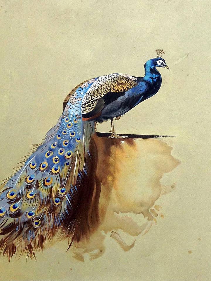 Peacock (Linha de Luxo) por atacado de La Pastiche
