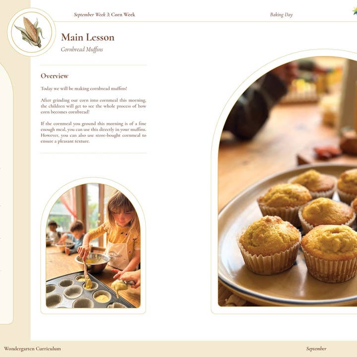 Wondergarten® - Wholesale Education - Curriculum Collection (Wholesale)8