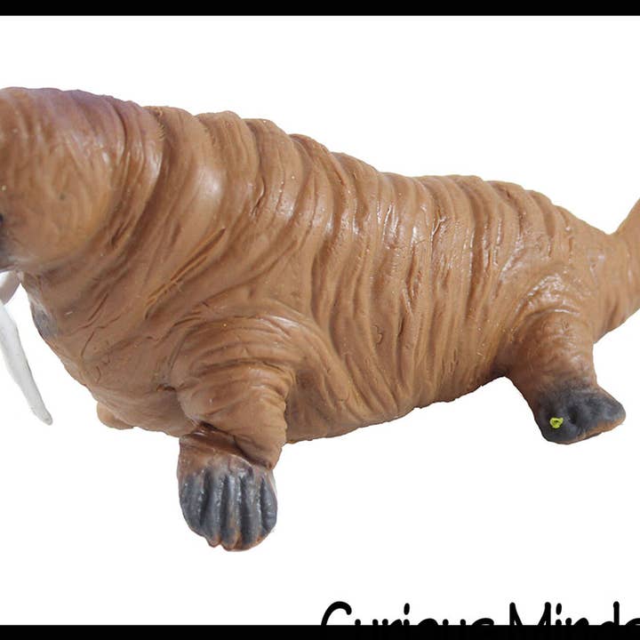 Curious Minds Toys – wholesale Mjuk leksak - Barn och baby – 1 Walrus Stretchy and Squeezy Toy - Crunchy Pärlfylld - Fi