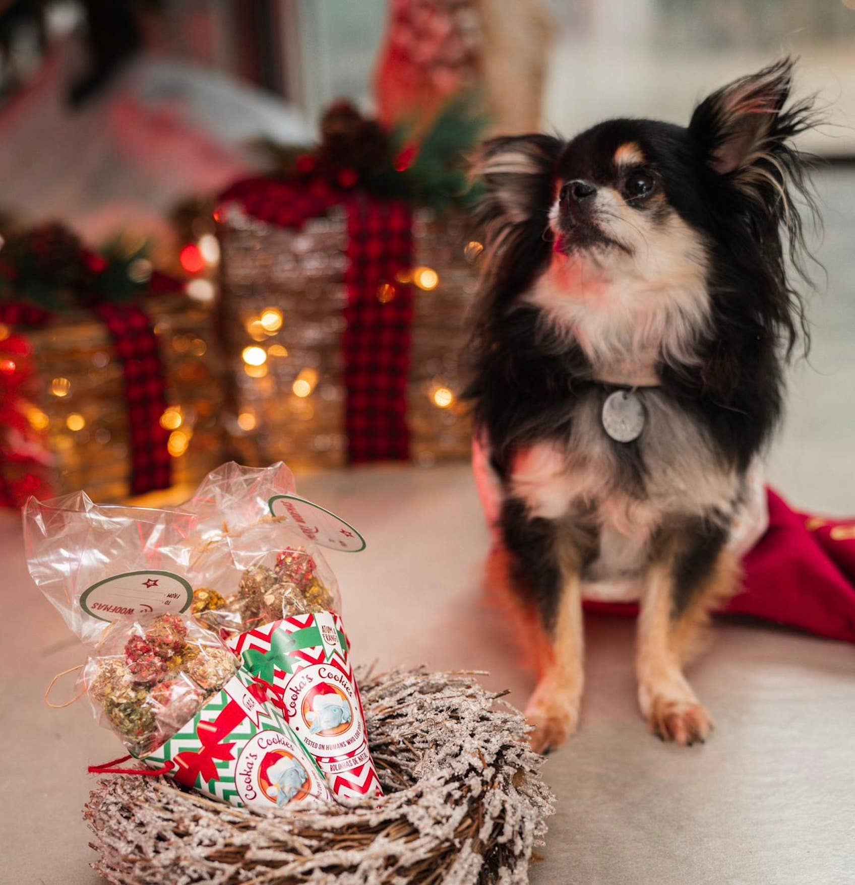 Belpharmed bv: Cooka's Cookies & Sensidog - Vendita all'ingrosso Snack - Cani - Palle di Natale - Pollo e tonno - Dolcetti naturali per cani4
