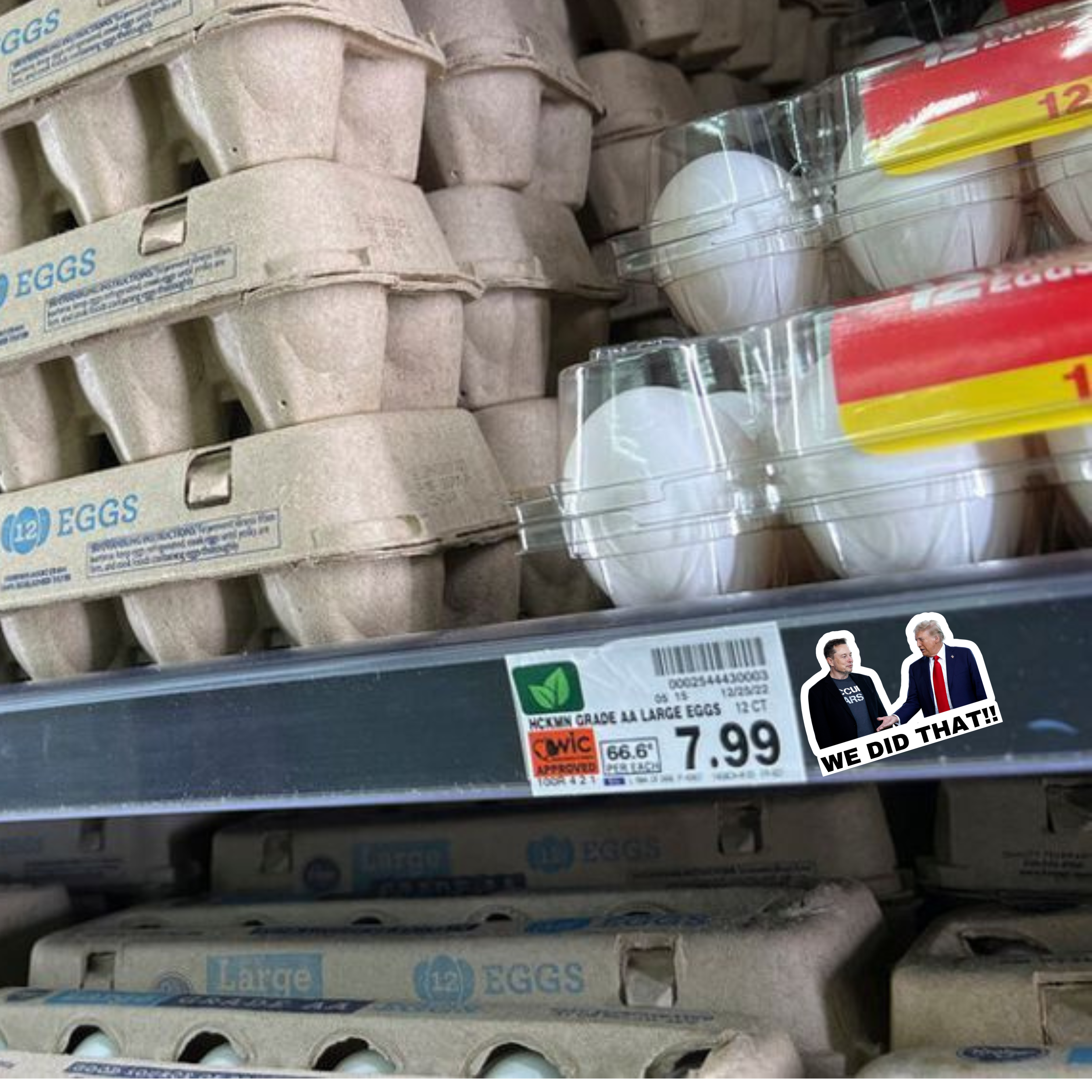 Atomic Cactus Stickers - Wholesale Sticker - We Did That Trump and Elon Sticker | Political Sticker | Vinyl Sticker | Water Resistant | Anti Trump | Meme Sticker2