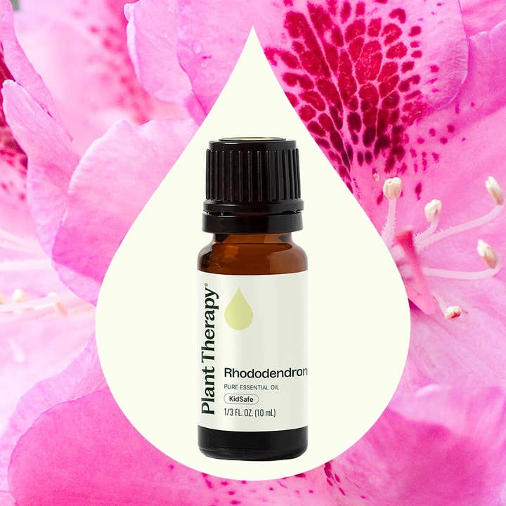 Plant Therapy - Wholesale Essential Oil - Rhododendron Essential Oil 10 ml4