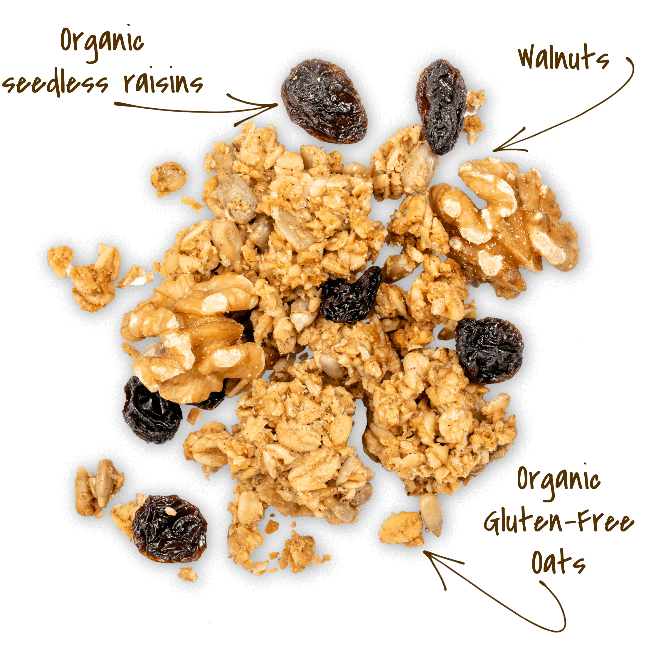 Michele's Granola - Wholesale Granola - Cinnamon Raisin Granola - 12oz (Case of 6) [$5.83 per bag]2