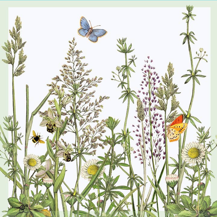 Carte de vœux - Herbes et papillons pour la vente par A Blackbird Sang