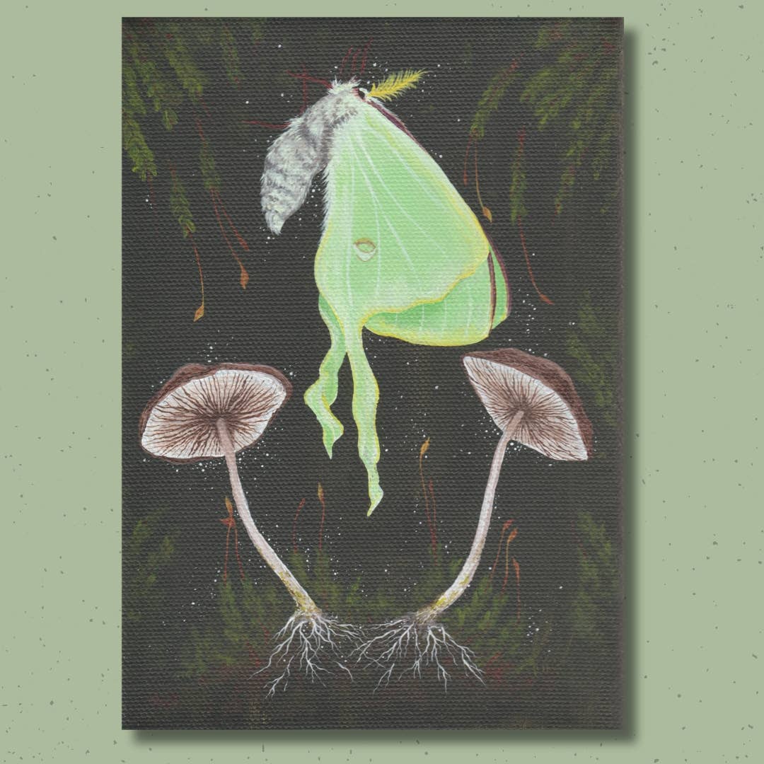Up Moss Creek Studio - Wholesale Postcard Set - Luna Moth Mini Postcard Print Set5