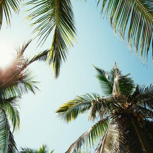 ÎLES & DÉLICES – wholesale Hårt godis – Doucelette kokosmjölk (kokosfondant)3