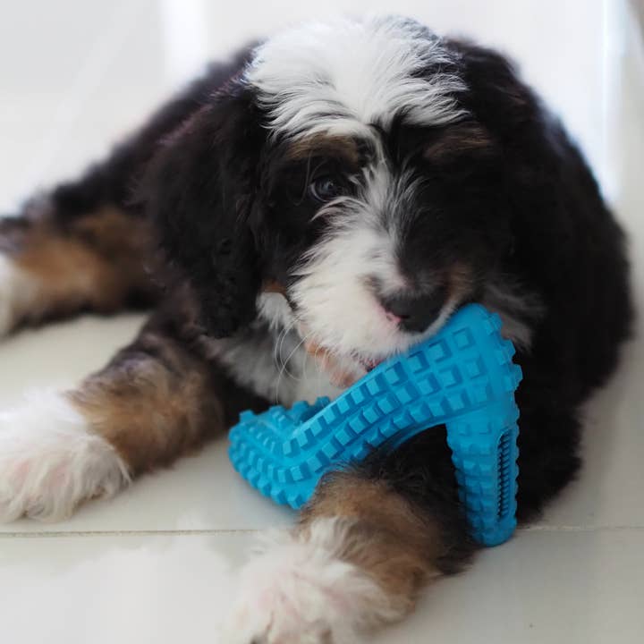 TOME DOG TOYS - Wholesale Pet Chew Toy - Dog - Dog Chew Toy & Toothbrush – For Aggressive Chewers | Durable7