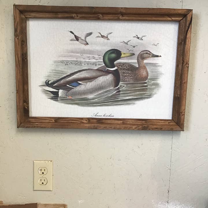 IMPRESIÓN DE ARTE DE PATO ÁNADE REAL para venta al por mayor de LAND OF COTTON