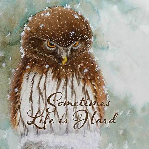 Life is Hard Owl for wholesale by St Thomas Greetings