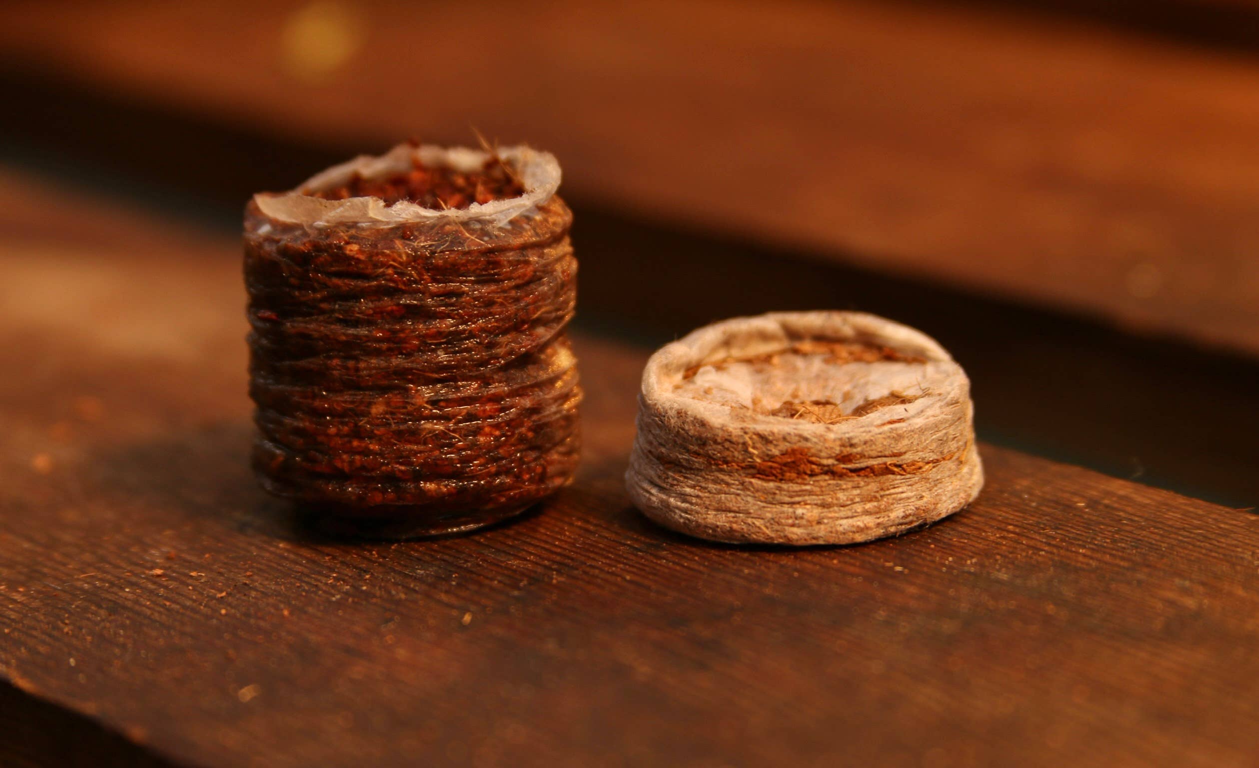 CoirProducts.co.uk of Salike Limited – wholesale Plant seeds – 32 mm Coir Coins | Coir Pellets For Germination Seeds2