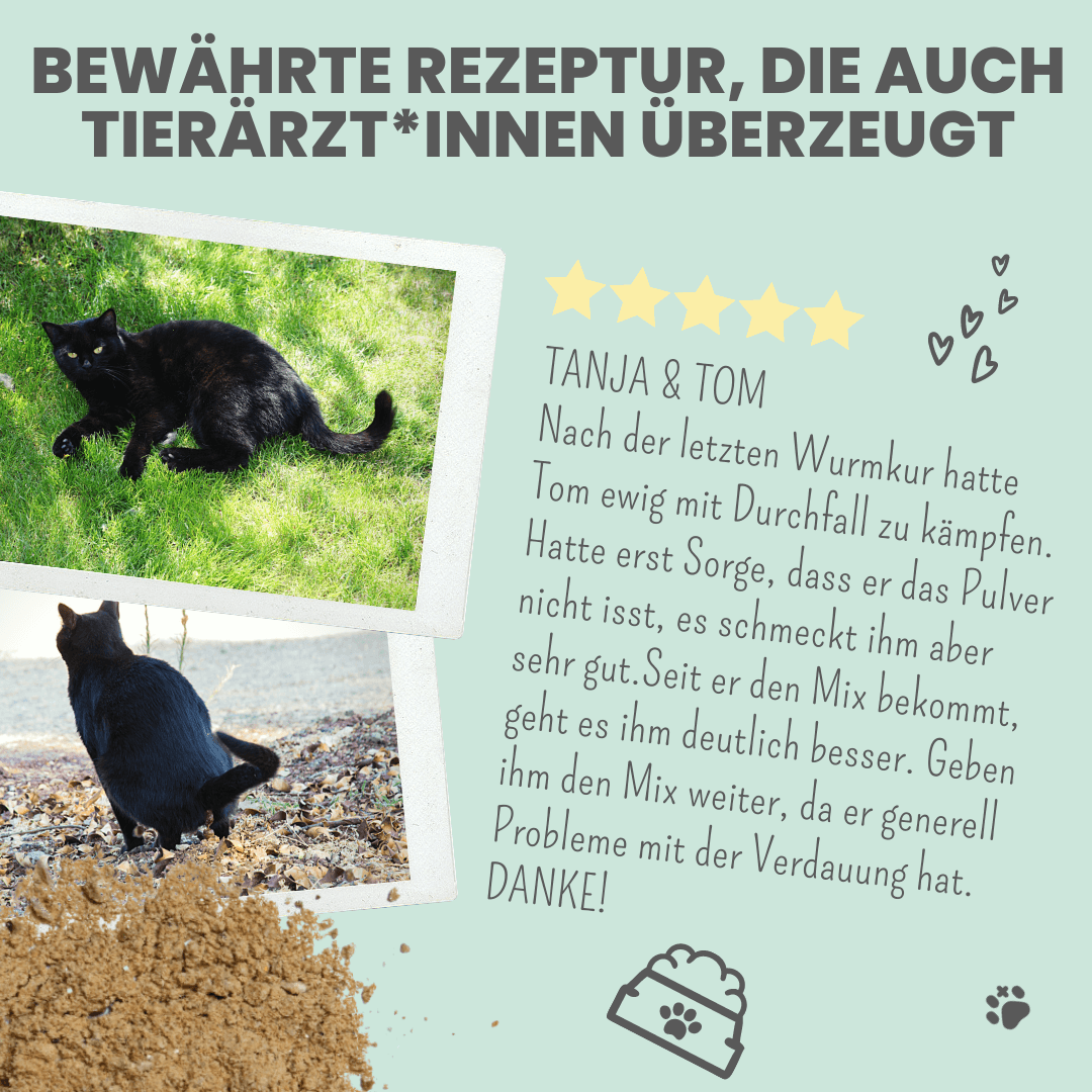 Noms+ - Wholesale Pet Supplement - Dog - Digestive mix for dogs as a prebiotic for stomach & intestinal flo6