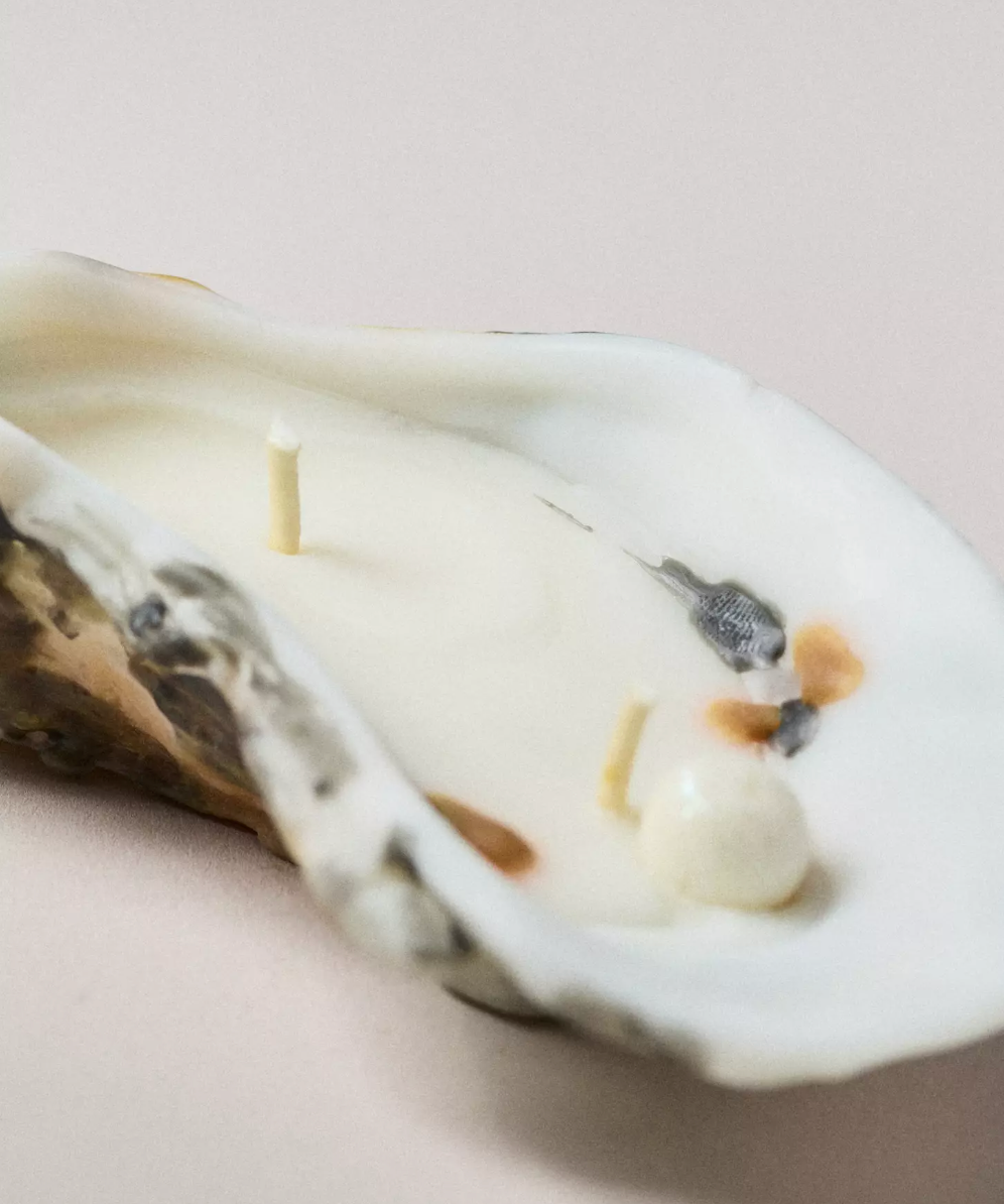 BabaBoogs Candles - Venta al por mayor Velas de diseño llamativo - Vela ostra con perla1