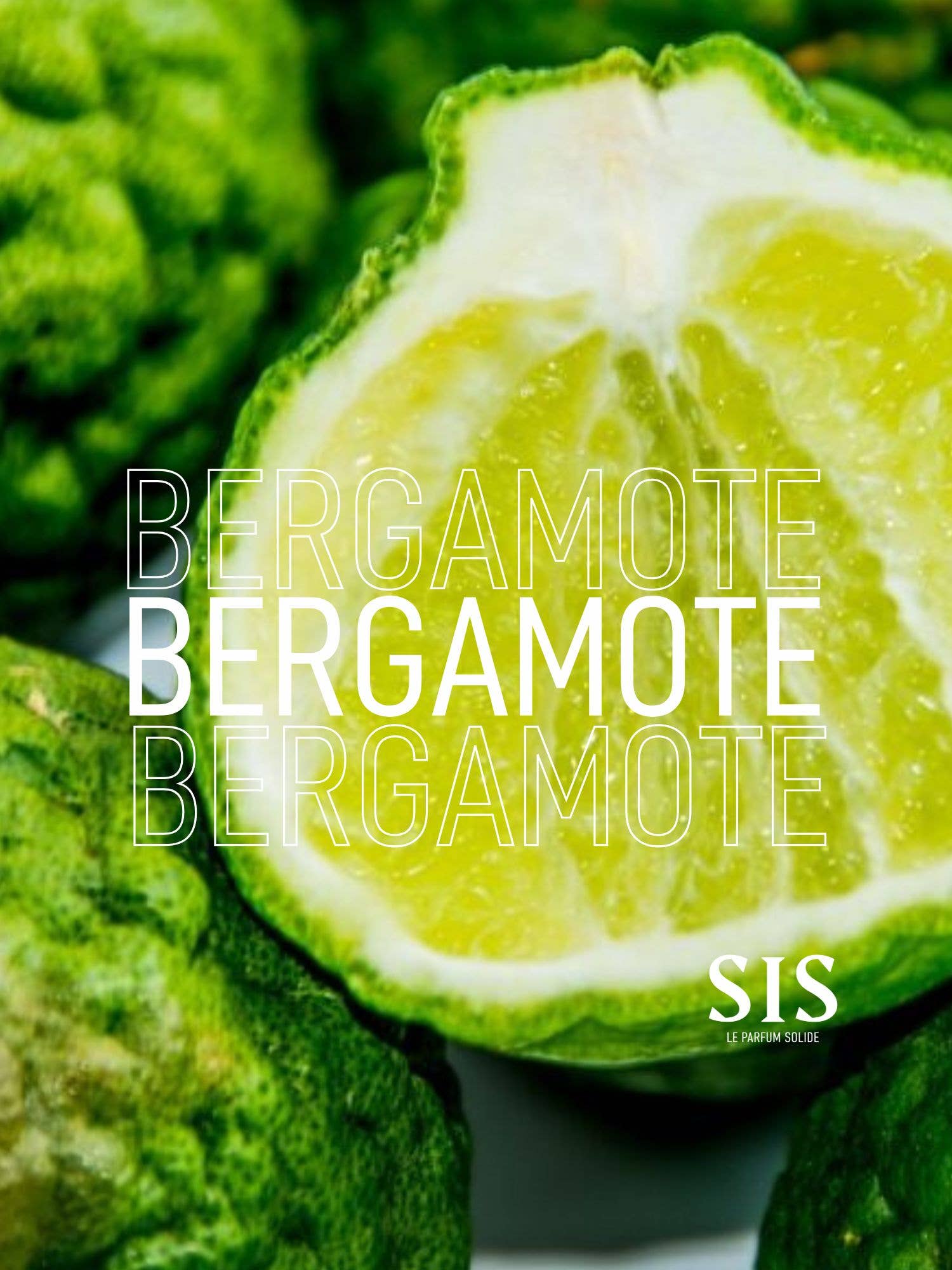 SIS Fragrances - Wholesale Solid Perfume - Solid Perfume, No.1 The Origin alcohol-free5