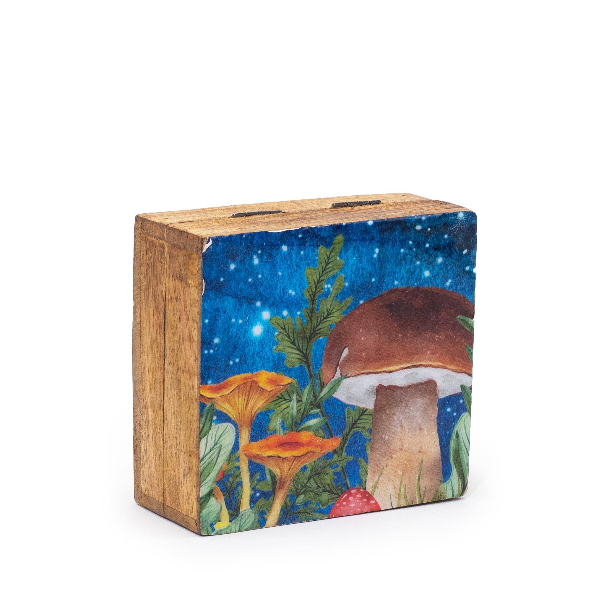 AW Artisan - Wholesale Decorative Box - Square Box Mushrooms 10 x 10 x 4.2 cm - Teal0