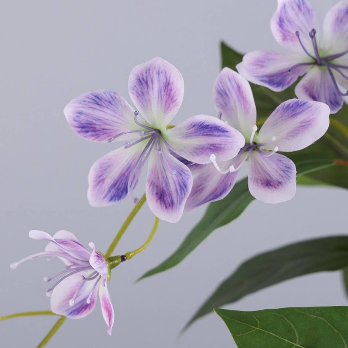 ACCITY - Wholesale Artificial Flowers - Weeping Begonia Artificial Hanging Flower_CWMM64729