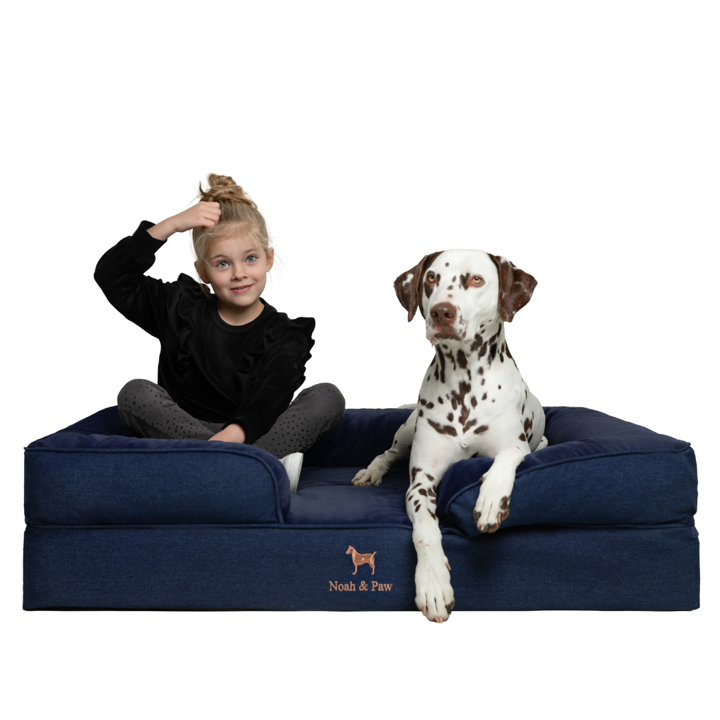 NOAH AND PAW LLC – Großhandel Haustierbett – Katze/Hund – Orthopädisches Haustierbett aus Denim, Memory-Schaum, mit kühlendem Gel durchzogen3