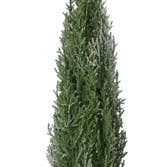 Arbre artificiel/cône de pin pour la vente par Young's