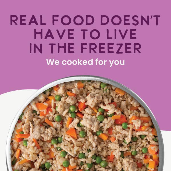 Health Extension Pet Care - Wholesale Pet Food - Dog - Gently Cooked Chicken And Pumpkin Recipe8