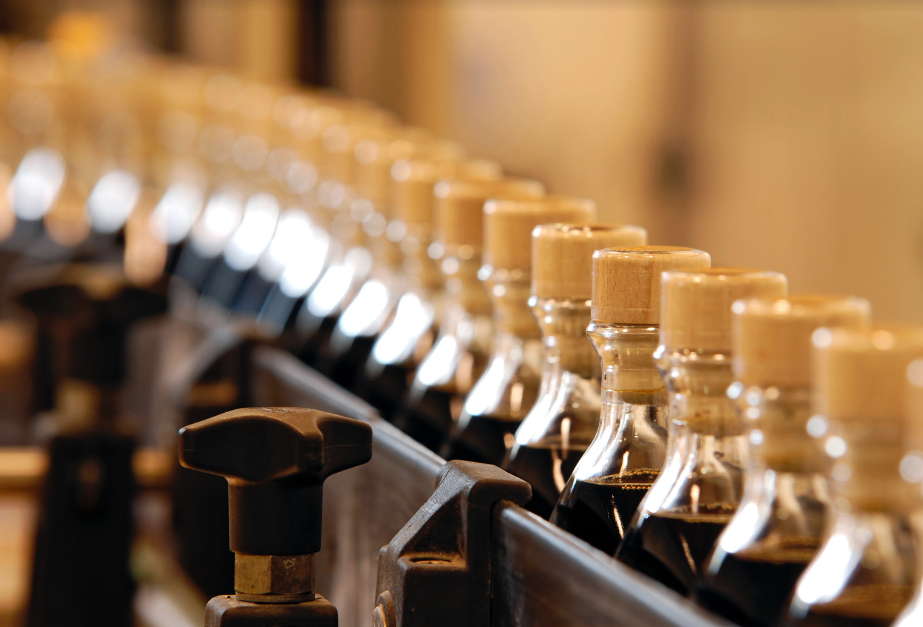 RITROVO - Vente Vinaigre - Maletti Famiglia Vinaigre Balsamique Extra Dense1