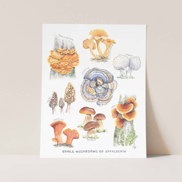 MARISAMADE - Wholesale Art Print - Mushrooms of Appalachia Art Print
