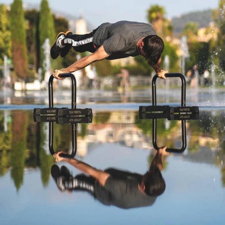 Via Fortis - Wholesale Fitness Equipment - Premium Parallettes Bars1