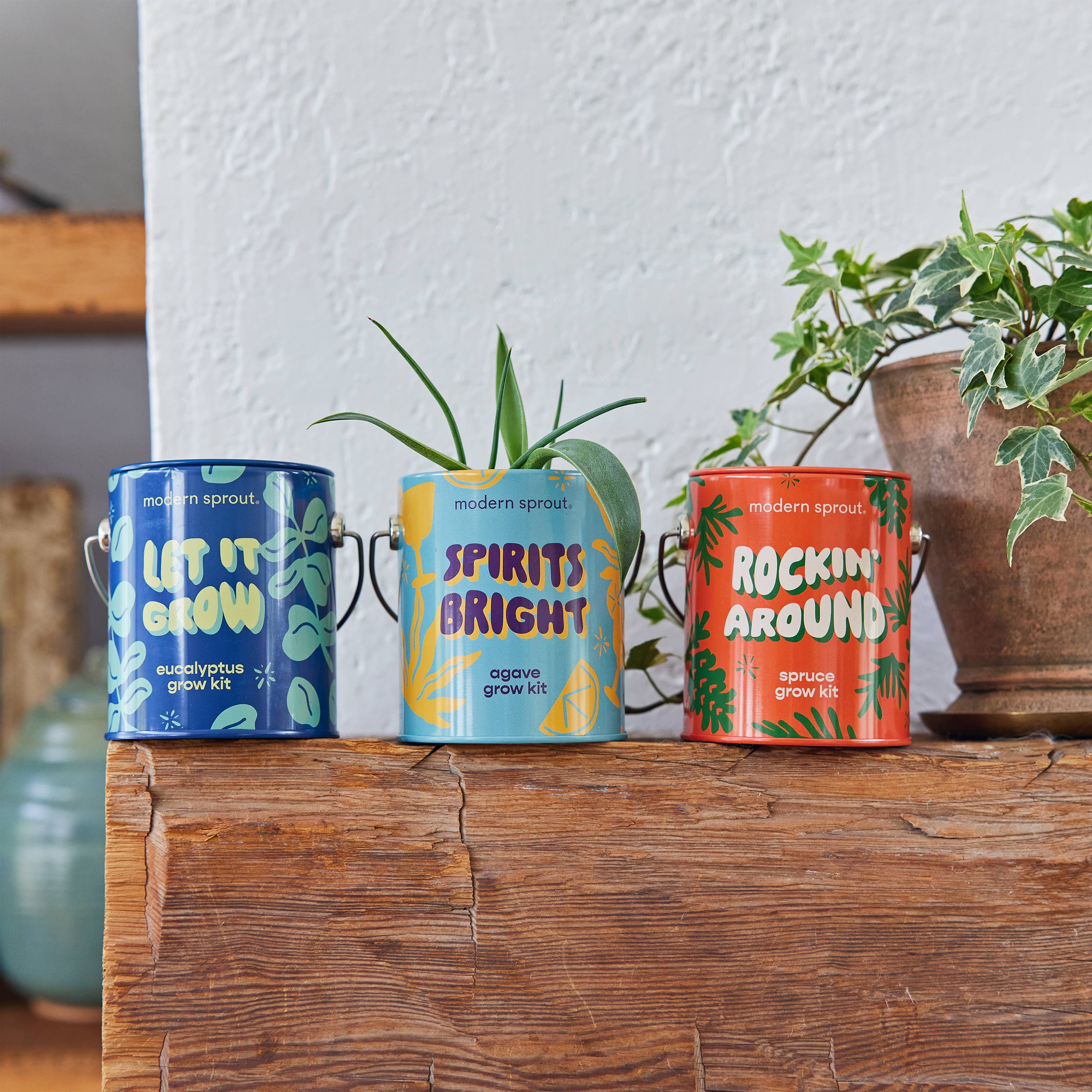 Modern Sprout - Wholesale Plant Seeds - Holiday Complimentary Colors Grow Kits13