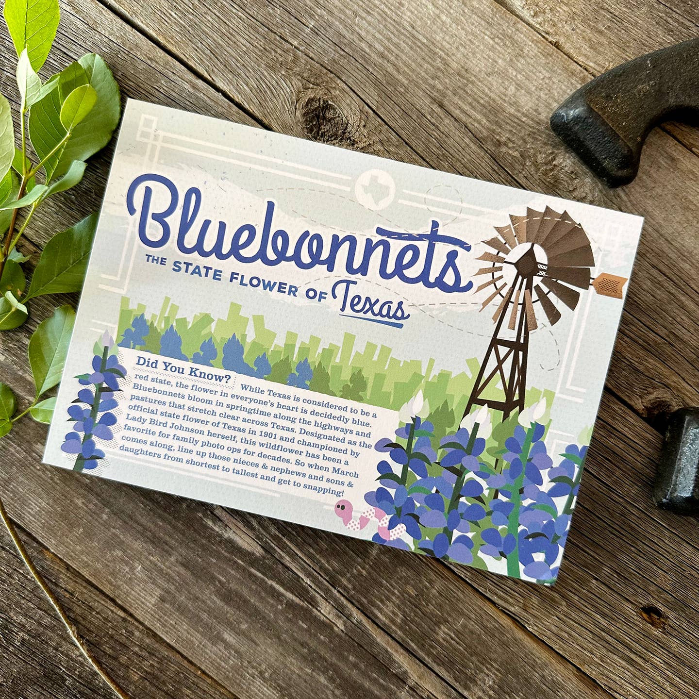 Bryan Spear Studio - Wholesale Postcard - Bluebonnets Postcard1