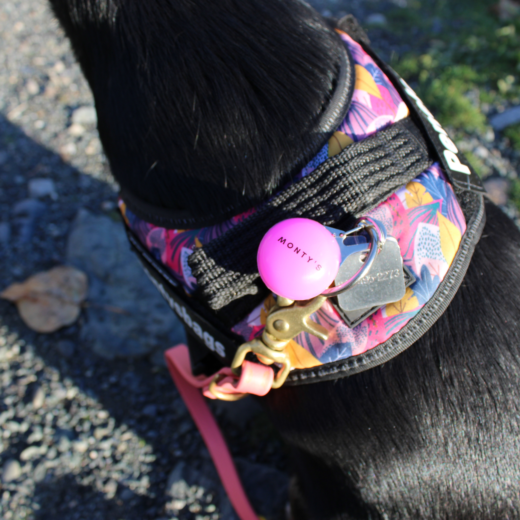 Monty's Bags – wholesale Pet collar – Dog – Battery Powered Flashing Dog Collar/Harness Lights2