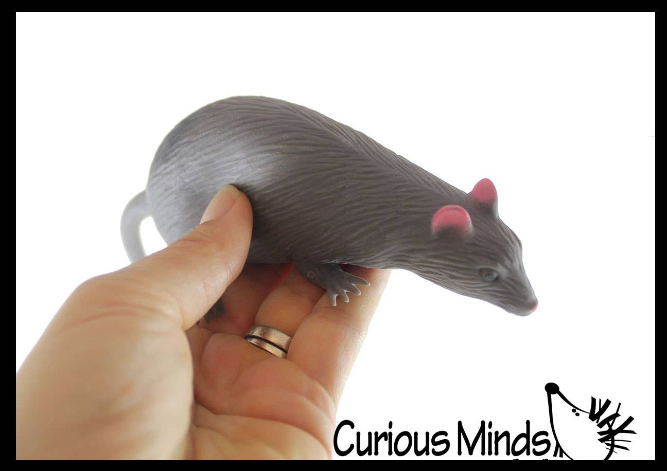 Curious Minds Toys – wholesale Fidget toy – Kids – 1 Stretchy Sand Filled Critters Animals -Gross Sensory Fidge11