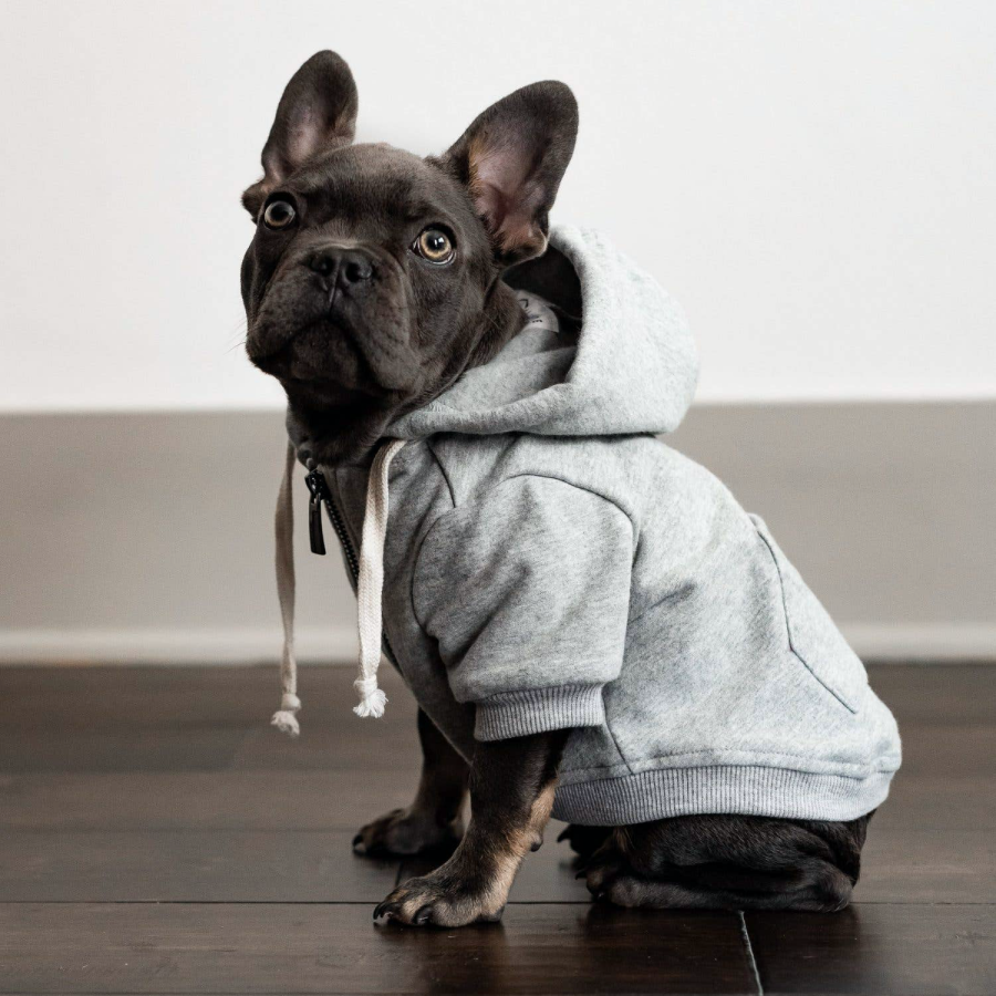 Shop New Brands in Pets