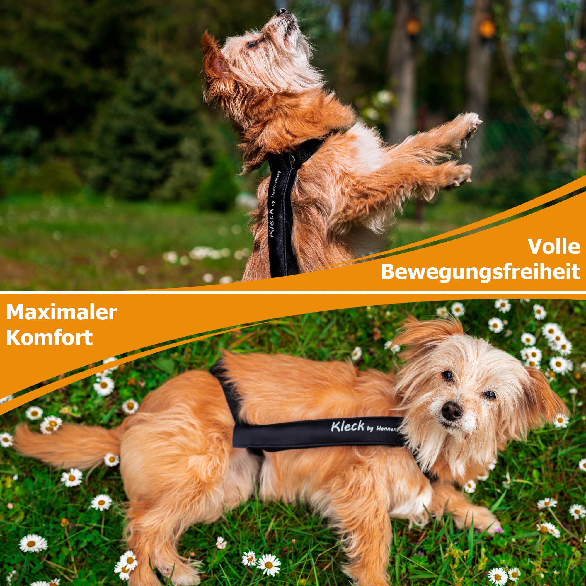 Kleck - Wholesale Pet Collar - Dog - Kleck Leak Protection2