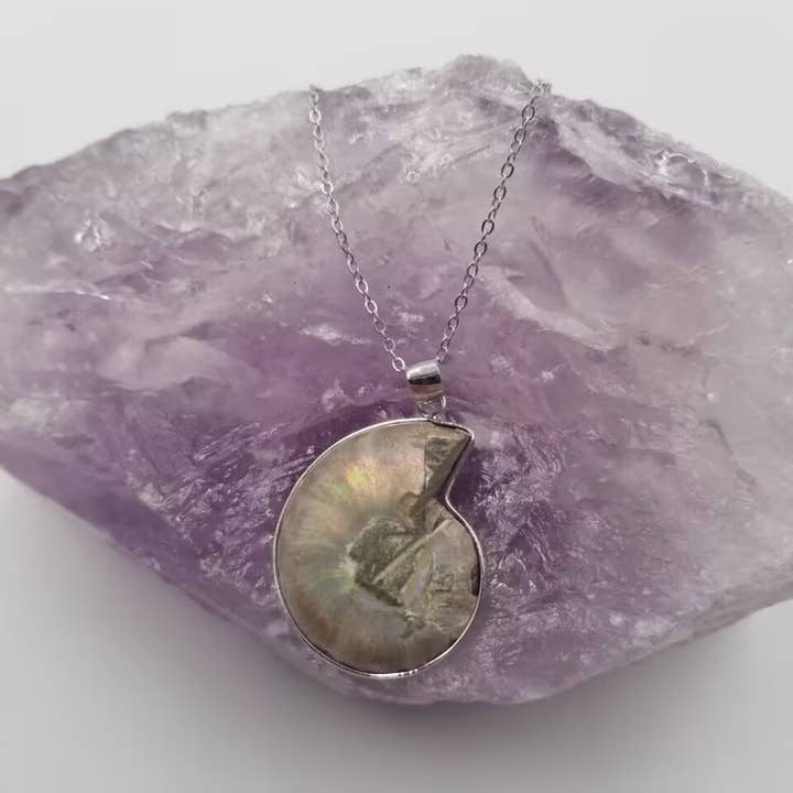 Natural Ammonite Fossil Pendant Necklace for wholesale by magnolia jewelry