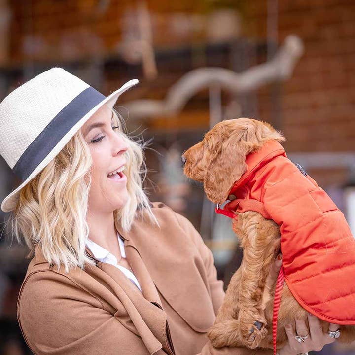 Blueberry Pet - Wholesale Pet Jacket - Dog - 5 Colors, Windproof Quilted Dog Puffer Jackets