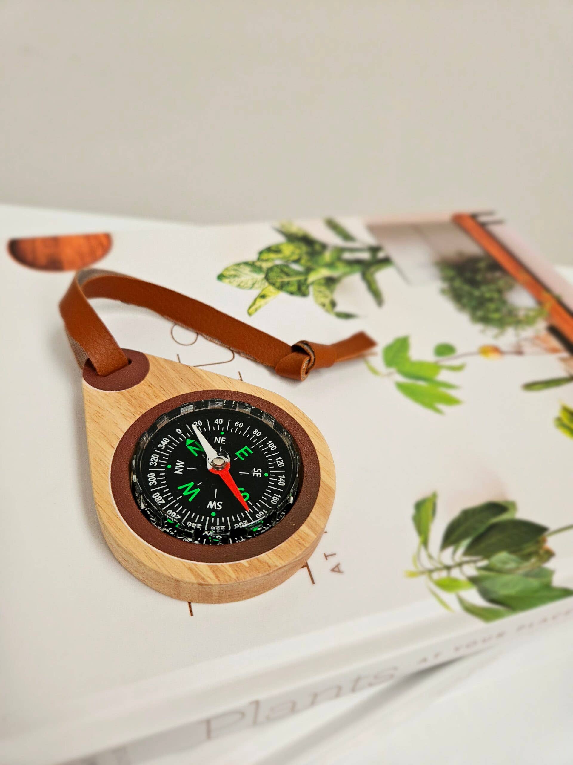 QToysUSA - Wholesale Wood Toy - Kids - Wooden compass3