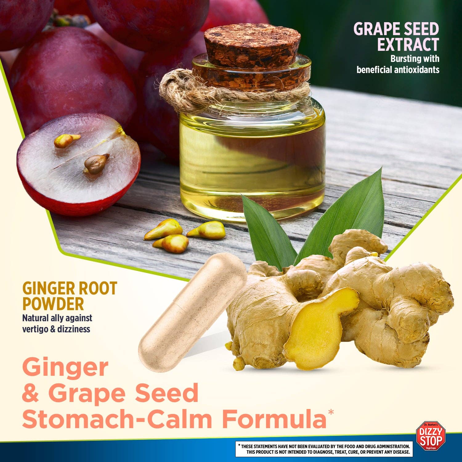 Dr. Bartons - Wholesale Oral Supplement/Vitamin - Dizzy Stop®: Vertigo, Dizziness, Motion Sickness Supplement10