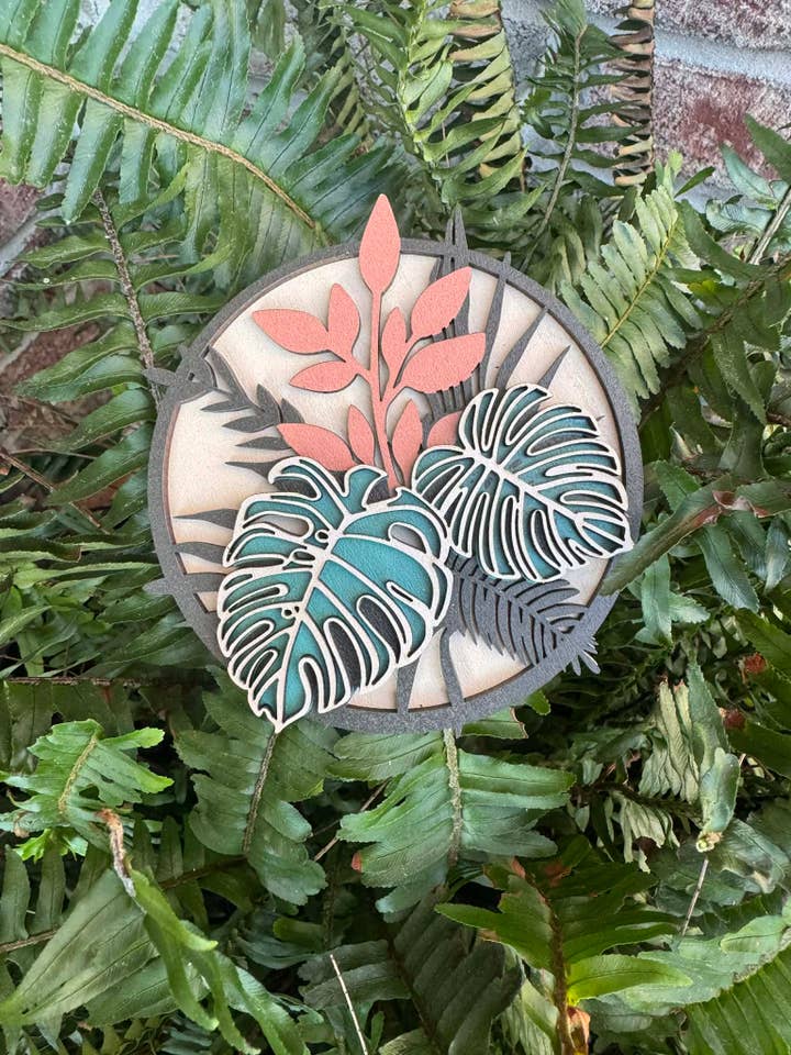 Monstera for wholesale by The Wilusz Way