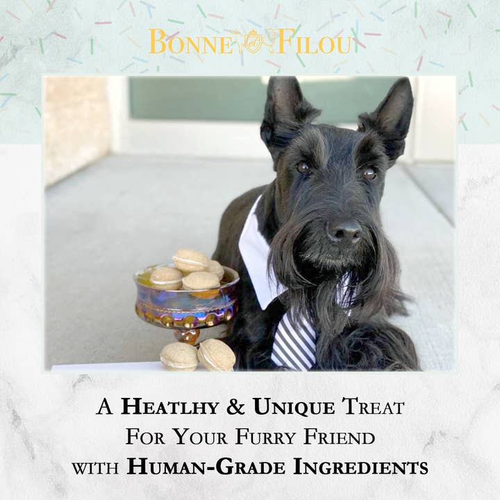 Bonne et Filou - Wholesale Hondenkoekjes - Hond - Hondenmacarons | Hondengeschenken (3 stuks)4