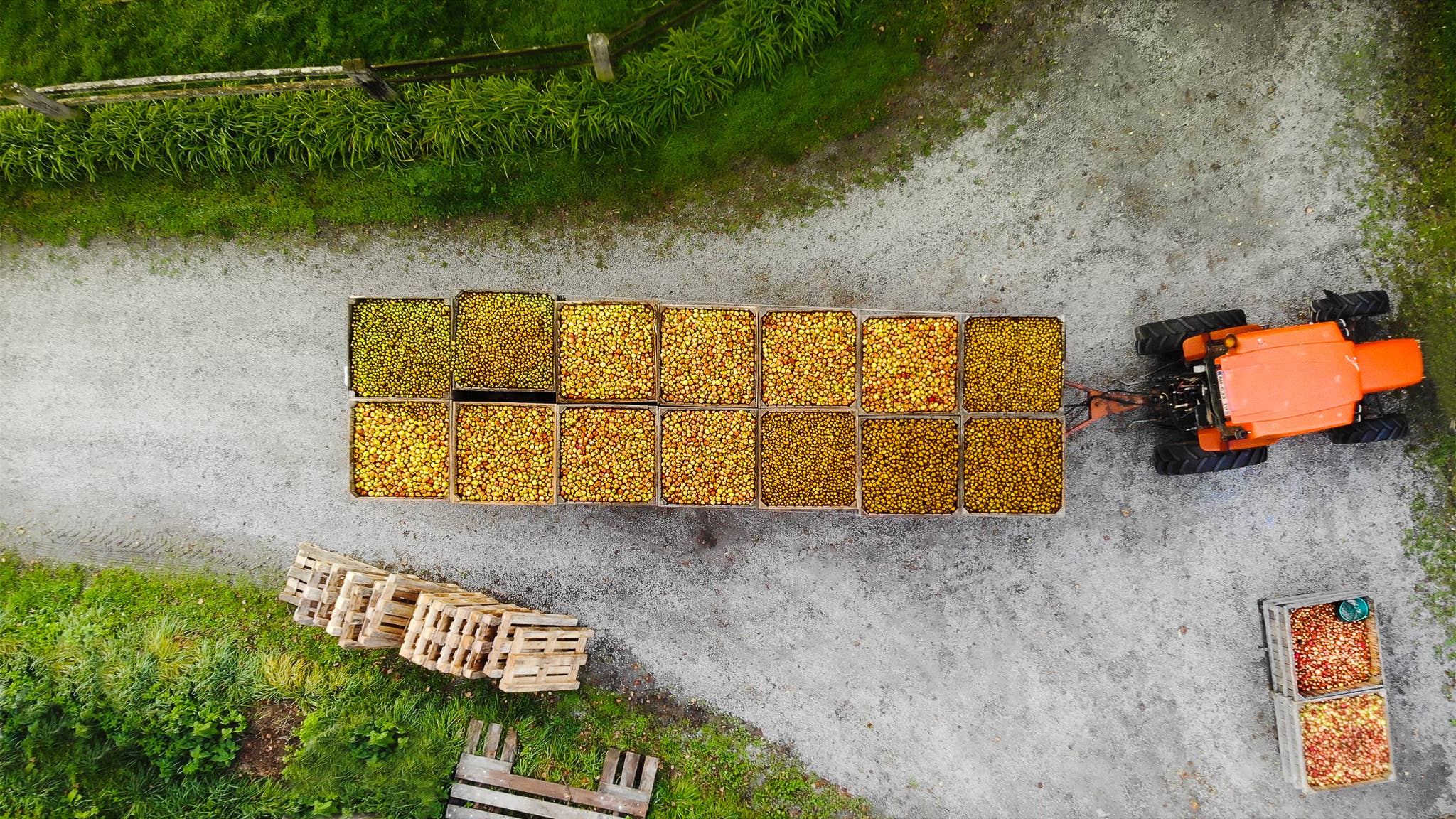 Domaine des 5 Autels - Wholesale Fruit Juice - Organic apple juice4