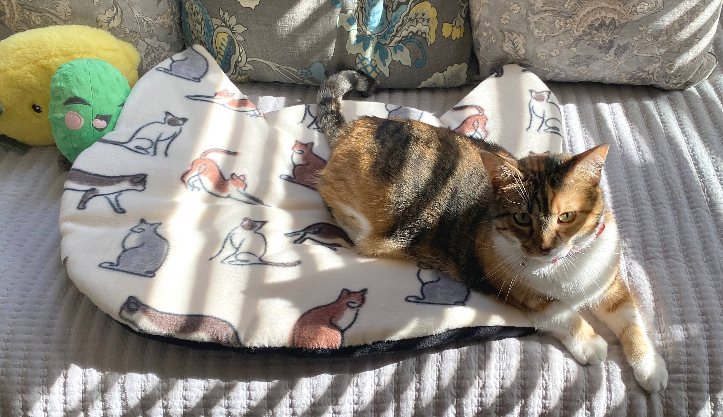 Screaming Pickles - Wholesale Pet Bed - Cat/Dog - Handmade Pet Bed/Mat Cat Head9