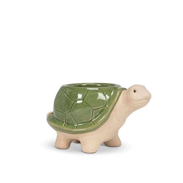 Abbott - Wholesale Plant Pot - Sm Turtle Planter-Grn-3.5"H