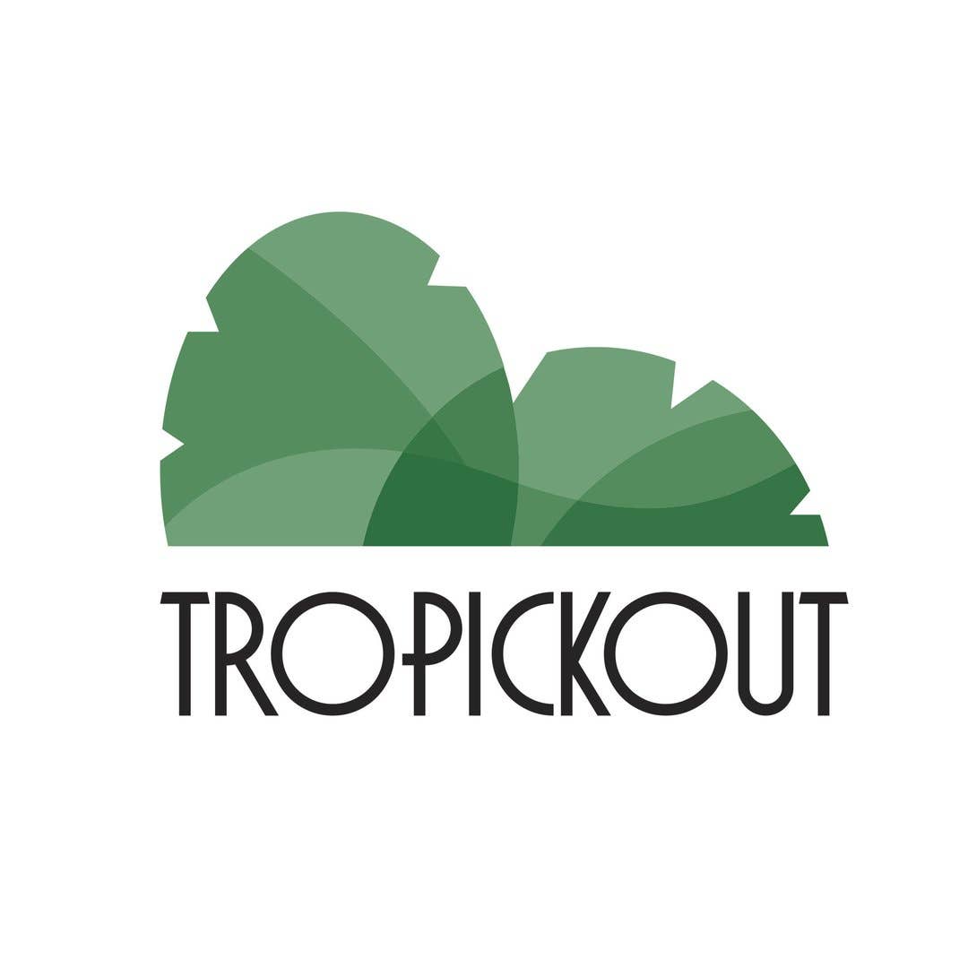 TROPICKOUT LLC – wholesale Dried/dehydrated fruit – TROPICKOUT Freeze-Dried Coconut Chunk 1.7oz9
