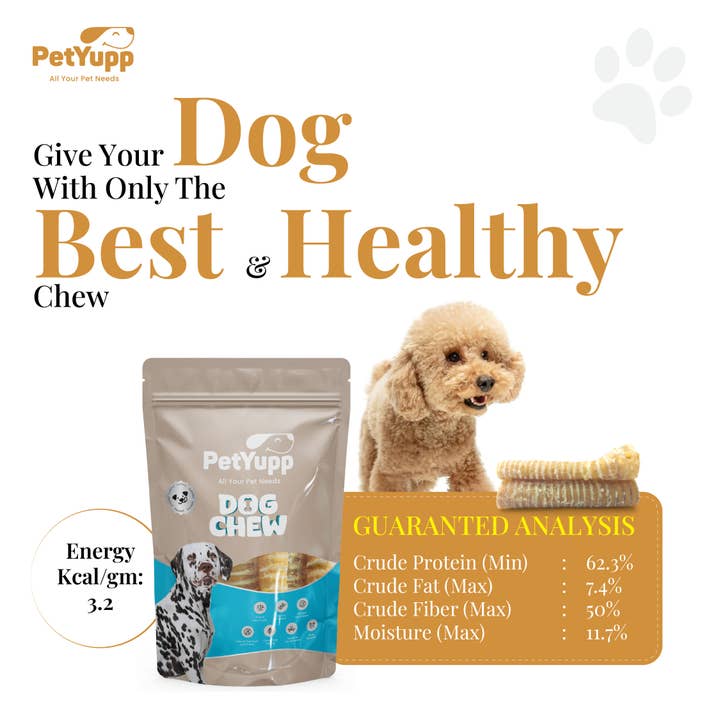 PetYupp - Wholesale Pet Treats - Dog - 100% Natural Water Buffalo Trachea Dog Chew - 6 Inch - 6 Count
