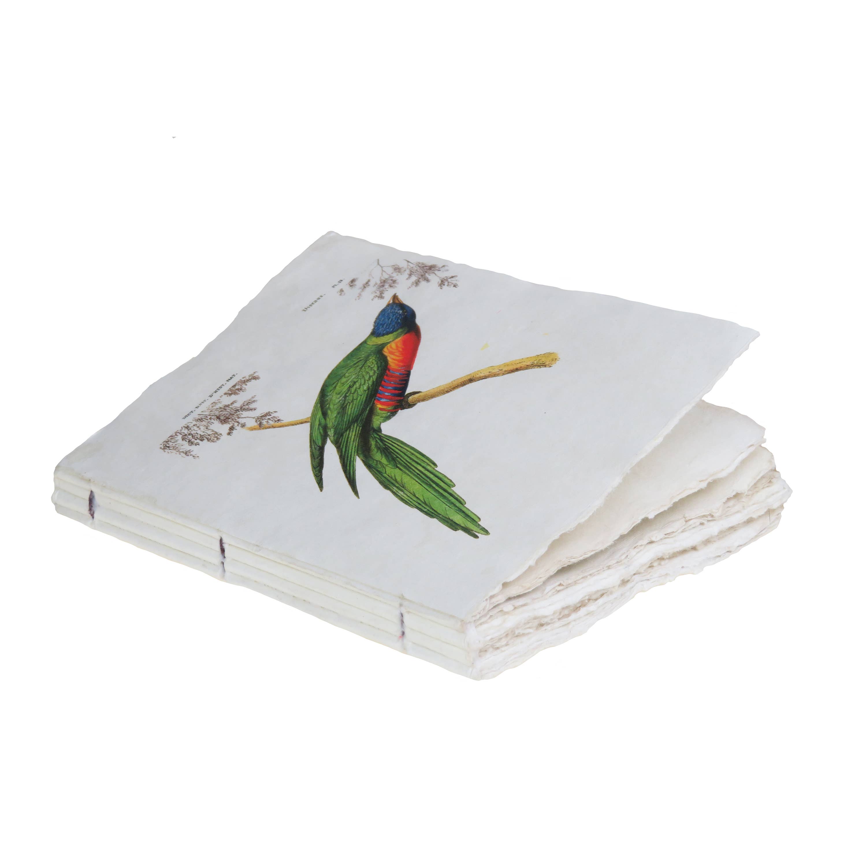 Epigram - Wholesale Notebook - Tropical Bird Parchment Notebook3