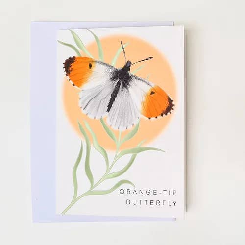 Pointe orange pour la vente par Visual Happiness