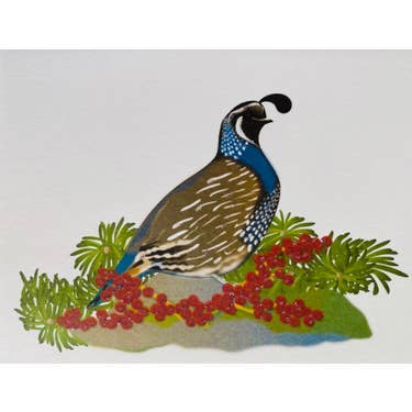 Studio Daedre - Wholesale Stationery/Notecard Set - Christmas Quail - Boxed Note Cards0
