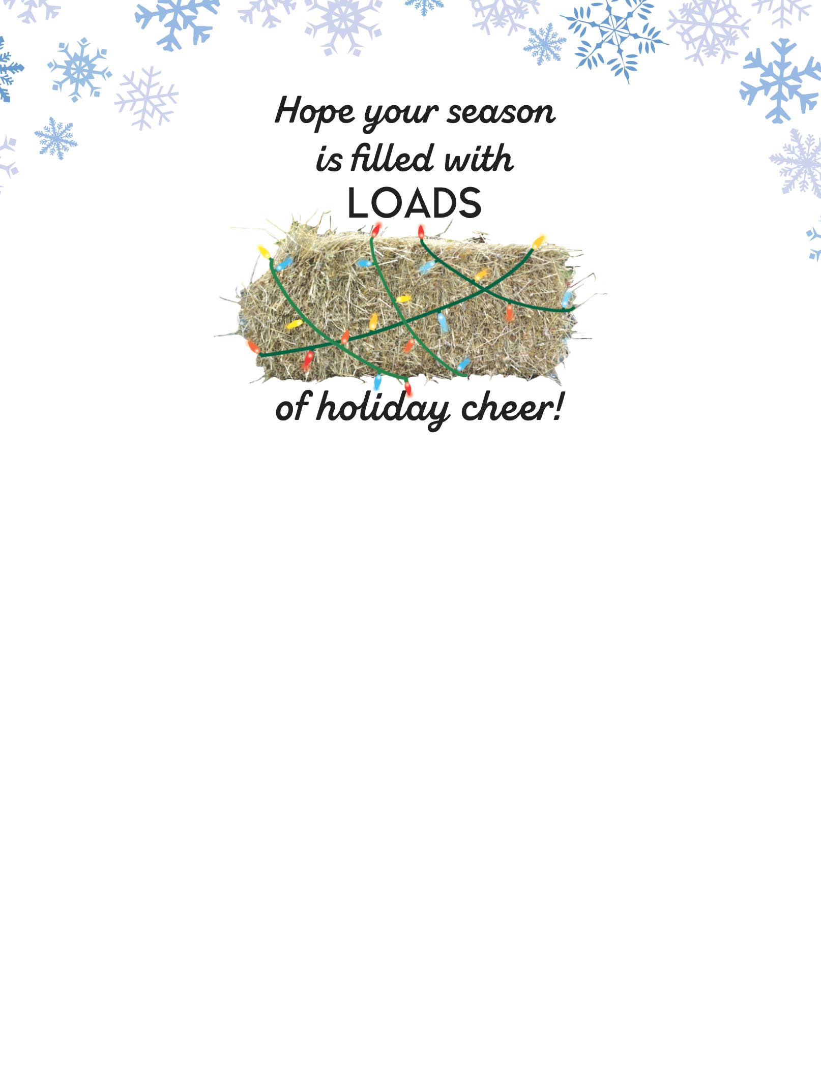 Horse Hollow Press | Pretty Snarky Equestrian Cards|Stickers - Wholesale Christmas Card - Horse Christmas Card / Truck Snow / Holiday Greeting Card
6