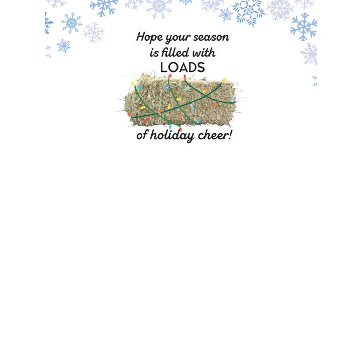 Horse Hollow Press | Pretty Snarky Equestrian Cards|Stickers - Wholesale Christmas Card - Horse Christmas Card / Truck Snow / Holiday Greeting Card
6