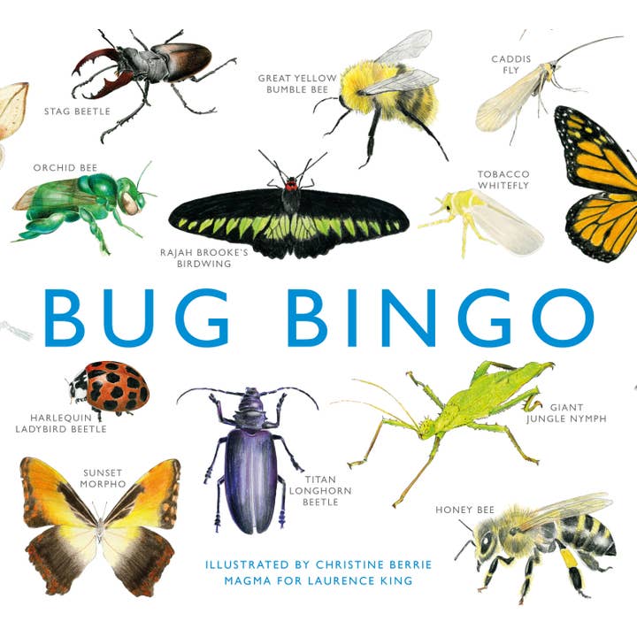 Bug Bingo by Laurence King Publishing (Game) for wholesale by HACHETTE UK LTD X LAURENCE KING